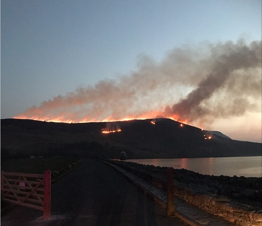 277105912 341904131316474 1293373300375692379 N 277105912 341904131316474 1293373300375692379 N